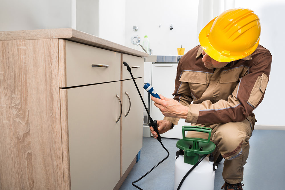 Pest Control Software – Benefits, Tips, and Top Brands